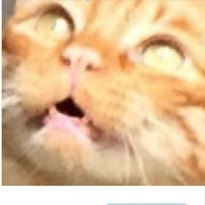 Meet your Posher, Idon'tknow